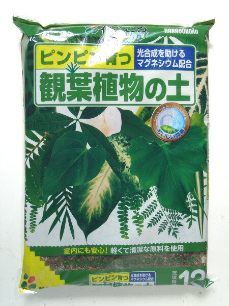 送料込み（一部除く）観葉植物 の 土12L植え替え 大型 土 室内 苗 大容量 国産 培養土 テーブルヤシ ウンベラータ モンステラ パキラ 送料無料（一部除く）