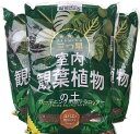 送料込み(一部除く)3袋セット三ツ星 観葉植物の土 10L×3袋植え替え 小型 土 室内 国産 培養土 テーブルヤシ ウンベラータ モンステラ パキラ