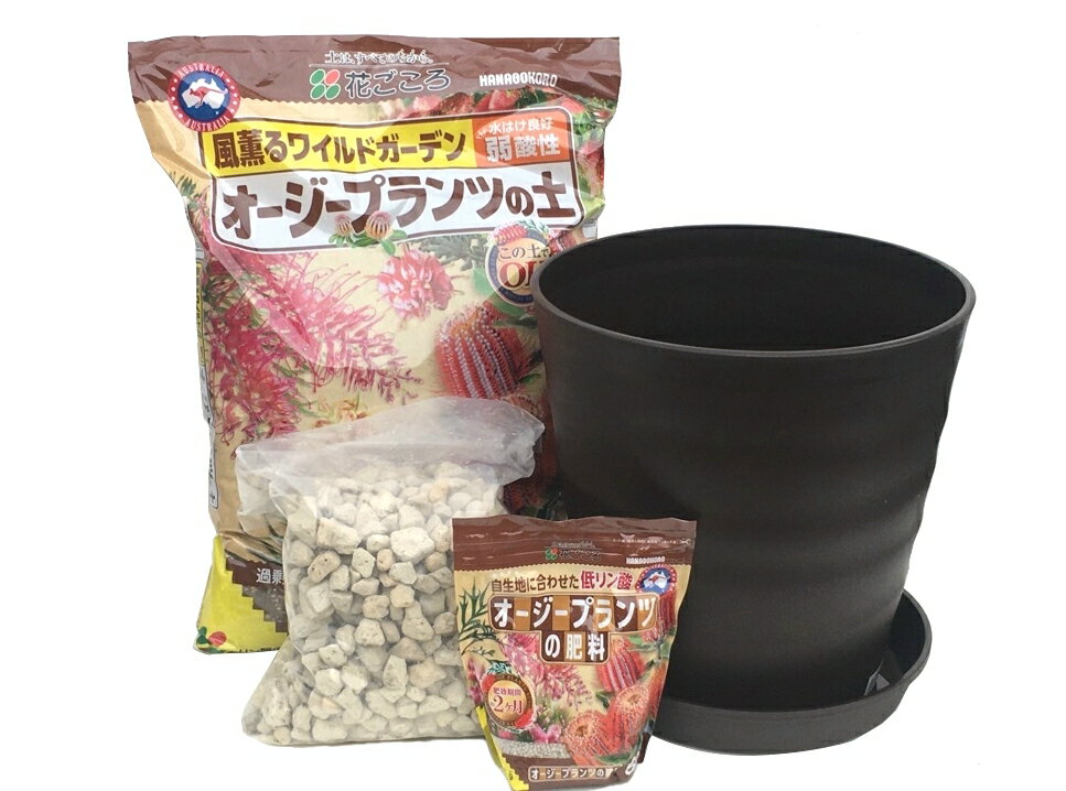 送料込み（一部除く）オージープランツ 植え替えセット　肥料付き　10号鉢、受皿、土、肥料、鉢底石のセットグレビレア バンクシア アカシア ユーカリ コルジリネ ニューサイラン 送料無料 （一部除く）