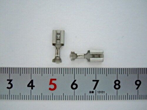 �ŵ������ε�ǽ��к��ʡ�ȾƳ�Ρ����񡦻�̳���ʨ������������쥯�ȥ��˥�������ע�ü�ҡʥ���å��դ��ˡ�10���åȢ�170038-2