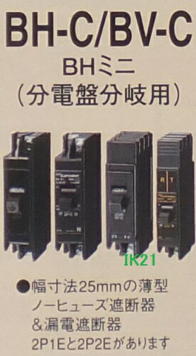 ��ɩ�ŵ� �� ϳ�ż��Ǵʬ�����ѡ�ʬ����ϩ�� ������ή15mA��30mA �� BV-C1 2P 1E �������ή A��30A