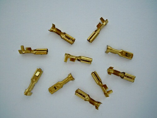 �䥶����ü�ҡ�10�Ģ�7116-1010