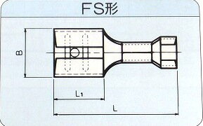 DST��250���꡼�����ե����ȥ�ü�ҡ�10���åȢ�FS6.3B-2.0-8�����塼����