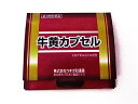 【第3類医薬品】ウチダの牛黄カプセル 100mg×2カプセル メール便送料無料
