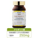 蜂の恵み　熟成プロポリス　ソフトカプセル　120粒　【送料無料】