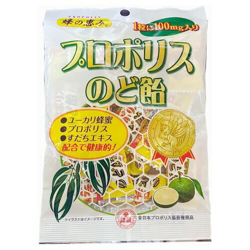 蜂の恵み　プロポリスのど飴　80g×25袋セット　送料無料