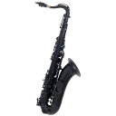 J.Michael TN-900 新品 テナーサックス [Jマイケル][サクソフォン][Tenor Sax][TN900][木管楽器]