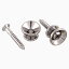 ALLPARTS NICKEL STRAP BUTTONS SET OF 2/AP-0670-001ڤ󤻾ʡ