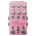 y Chase Bliss Audio Lossy