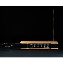 あす楽 moog 春のPremium SALE Etherwave Theremin MG EW THEREMIN テルミン 台数限定特価 