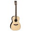 TAKAMINE PTU441 N ڤ󤻾ʡ