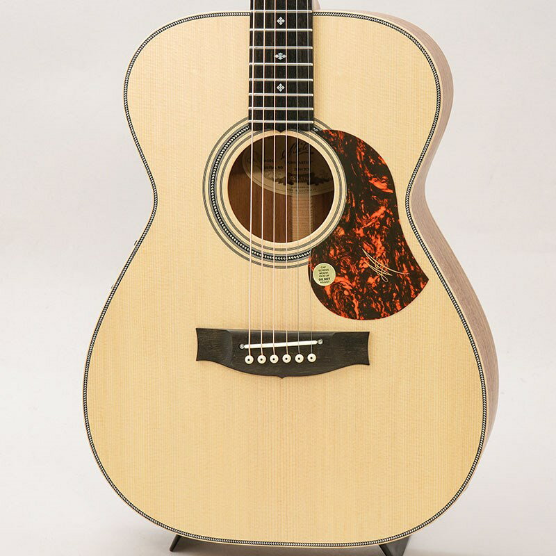 MATON EBG808 Artist #29244