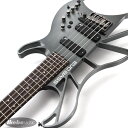 EVO EVO BASS B0101Z-5 aguilar D-Silver GK-MOD Proto