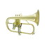 CAROL BRASS GWɥå奻 N6200 CL Bb ե塼 ۥ