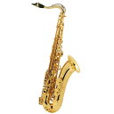 Selmer Paris 【生産完了】【貝沼拓実氏選定品】テナーサックス セルマー SA-80II(シリーズ2) ジュビリー GL w/e(彫刻付)