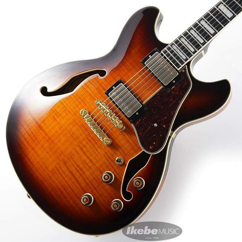 新品チョイキズ特価！！Ibanez Artcore Expressionist Series Semi Hollow Modelフレイム・メイプル・ボディのセミアコ上位モデルのヴァイオリン・サンバースト・カラー！「BOXギターをより自由に、より気軽に楽しむ」をテーマに掲げたIbanez Artcore シリーズ。そんなArtcore シリーズのシンプルでプレイヤー・フレンドリーなギターが世界中で好評を博す中、ワンランク上のアップグレード・シリーズとしてIbanez Artcore Expressionist が誕生しました。・ARTCORE（アートコア）のアップグレード・シリーズ、Ibanez Artcore Expressionist）・ボディ全体に優美なフレイム・メイプルをまとった、セミホロウ・モデル・70年代後半からIbanezのオリジナル・ピックアップとしてプロの定評を集めてきたSuper'58ピックアップ(ウォームなトーンとレスポンスの良さが心地よい定番ピックアップです。アルニコ・マグネット採用。)・上部に入れたスリット（溝）によってスピーディに弦交換が可能な、Quik Change III テールピース・コントロールのしやすさと視認性の高さを両立するSure Grip III（シュアグリップ）ノブ＜ナンバリング（目盛）が施されたノブの上部に、滑りを防止するゴム製グリップを装着しています。＞※画像はサンプルです。実際の商品とは木目、色合いが異なります。Neck: AS Expressionist/3pc Nyatoh/Maple/Set-in neckBody: Flamed Maple top/back/sidesFretboard: Bound Macassar Ebony fretboard w/Acrylic block inlayFret:Medium fretsbridge: Gibraltar Performer bridgetailpiece: Quick Change IIINeck PU: Ibanez Super 58 (H)Bridge PU: Ibanez Super 58 (H)String: .010-.052 ROUNDWOUND Hardware color: Goldソフトケース付き◆Color:・VLS (Violin Sunburst)イケベカテゴリ_ギター_エレキギター_Ibanez_アウトレット JAN:2500010066778 登録日:2021/12/02 エレキギター アイバニーズ イバニーズ