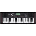 あす楽 Roland 【GWゴールドラッシュセール】E-X10(Arranger Keyboard)(限定特価)