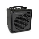 あす楽 Henriksen Amplifiers The Blu SIX 【Bluetooth】