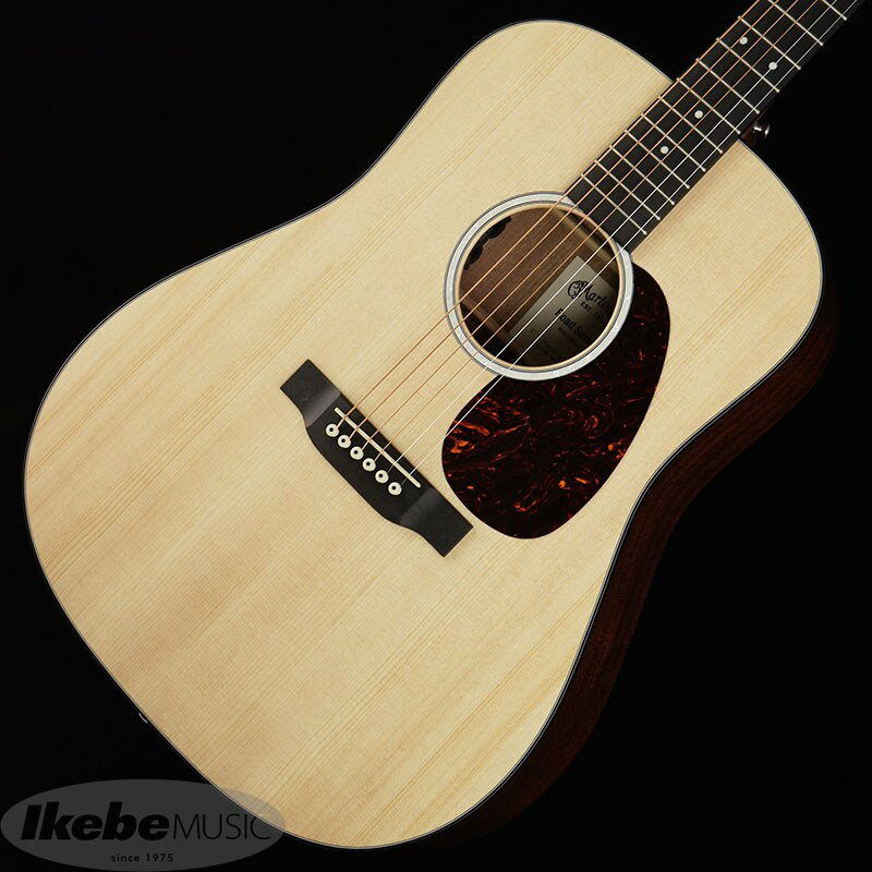 D-10E-02 [ピックアップ搭載] MARTIN (新品)