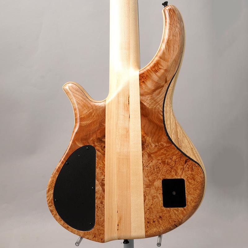 PH9-5 Burl Maple Phoenix (新品)
