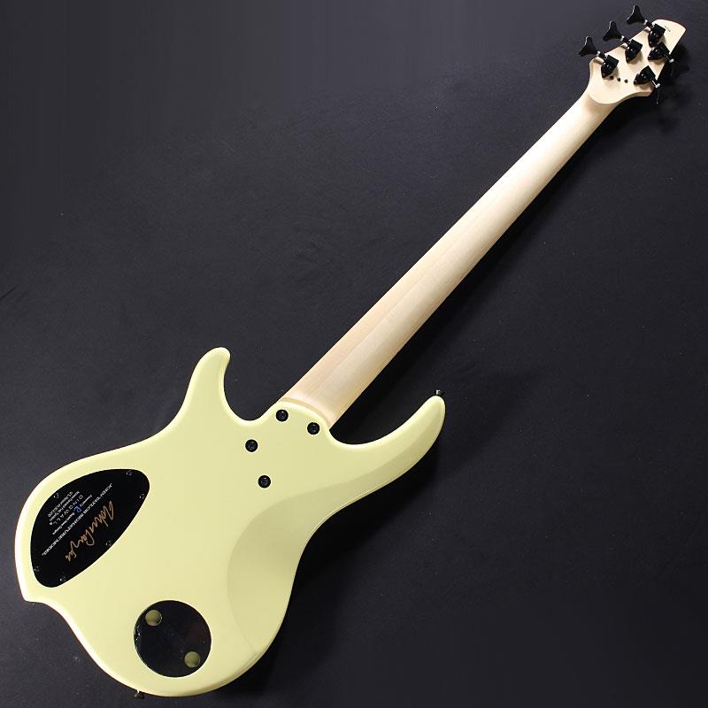 JT-3 5st John Taylor Signature Model (Primrose/M) DINGWALL (新品)