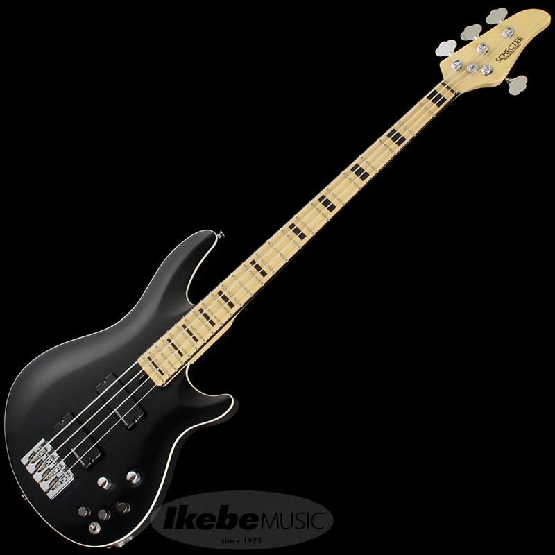 Progauge Artist Model Series PA-TM SCHECTER (新品)