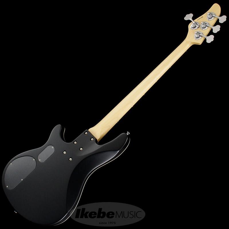 Progauge Artist Model Series PA-TM SCHECTER (新品)