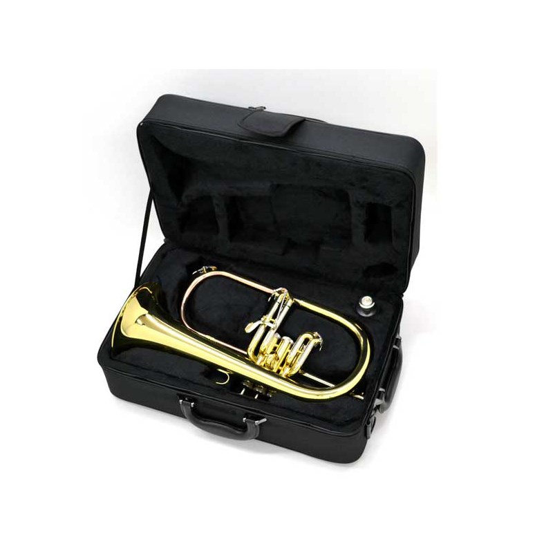 J�ޥ����� / FG-500 ��Bb �ե�塼���� �ۥ��ۡڽв���Ĵ���ǰ¿��� J.Michael (����)