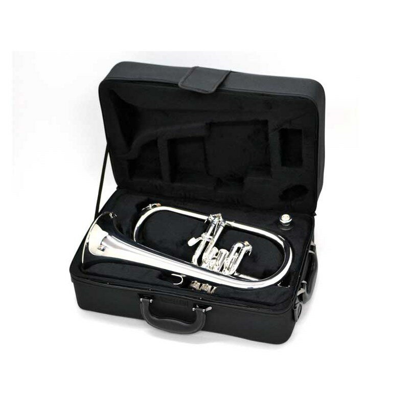 J�ޥ����� / FG-550S ��Bb �ե�塼���� �ۥ��ۡڽв���Ĵ���ǰ¿��� J.Michael (����)