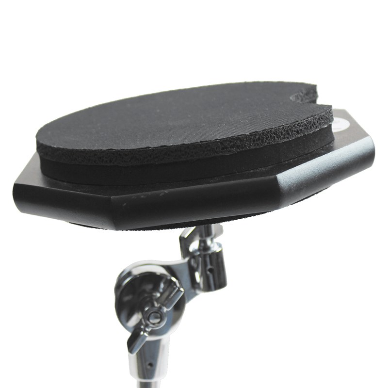 TP-6NU [���쥿�� �ȥ졼�˥󥰥ѥå� / �ե�åȥ١������������°] �ڥ��å��ˤ⤪�����ᡪ�� Pearl (����)