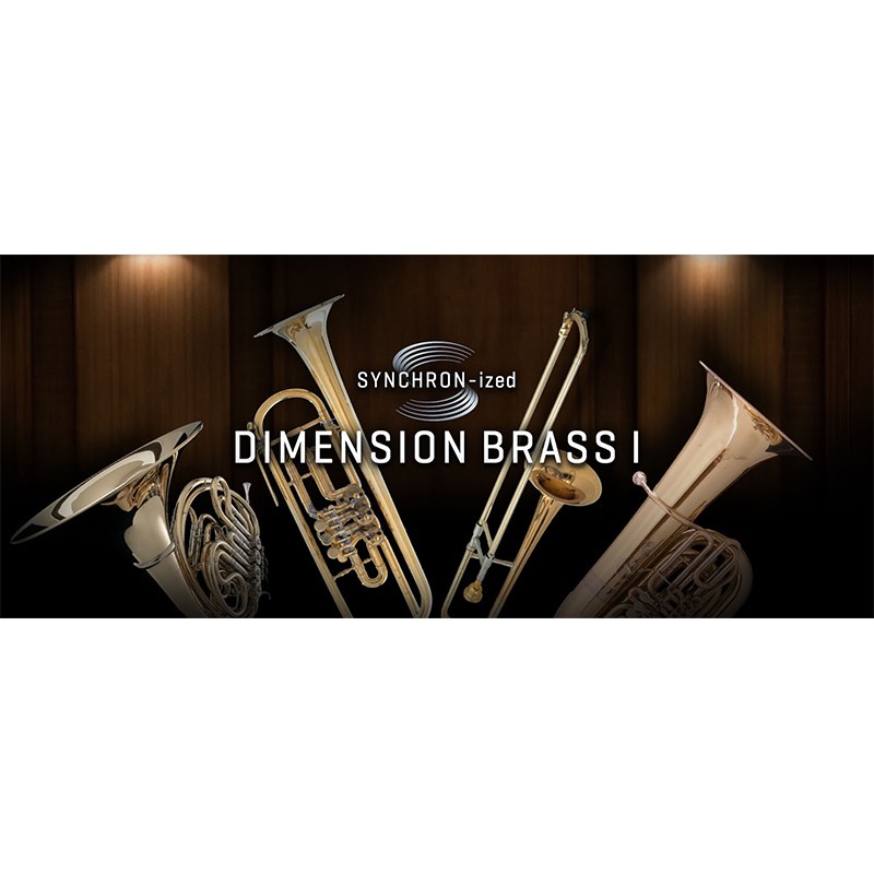 SYNCHRON-IZED DIMENSION BRASS 1【簡易パッケージ販売】 VIENNA (新品)