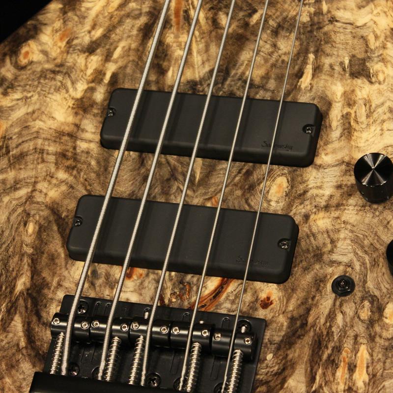USED ��� CustomShop 24-Fret Single Cut Bass 5-String (California Buckeye Burl Top) '23 Sadowsky Guitars (�桼���� ����)