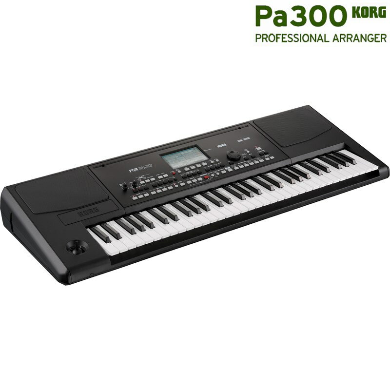 Pa300 Professional Arranger