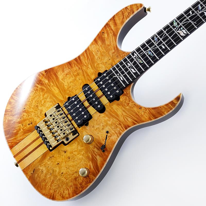 VISIONS IV1RG SN.H25304 Ibanez (新品)
