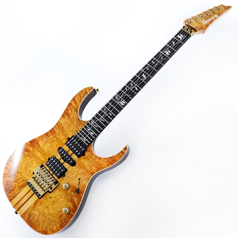 VISIONS IV1RG SN.H25304 Ibanez (新品)