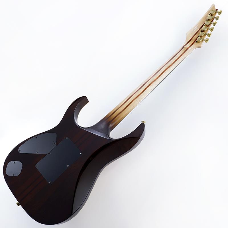 VISIONS IV1RG SN.H25304 Ibanez (新品)