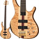 Classic IV Tobias (新品)
