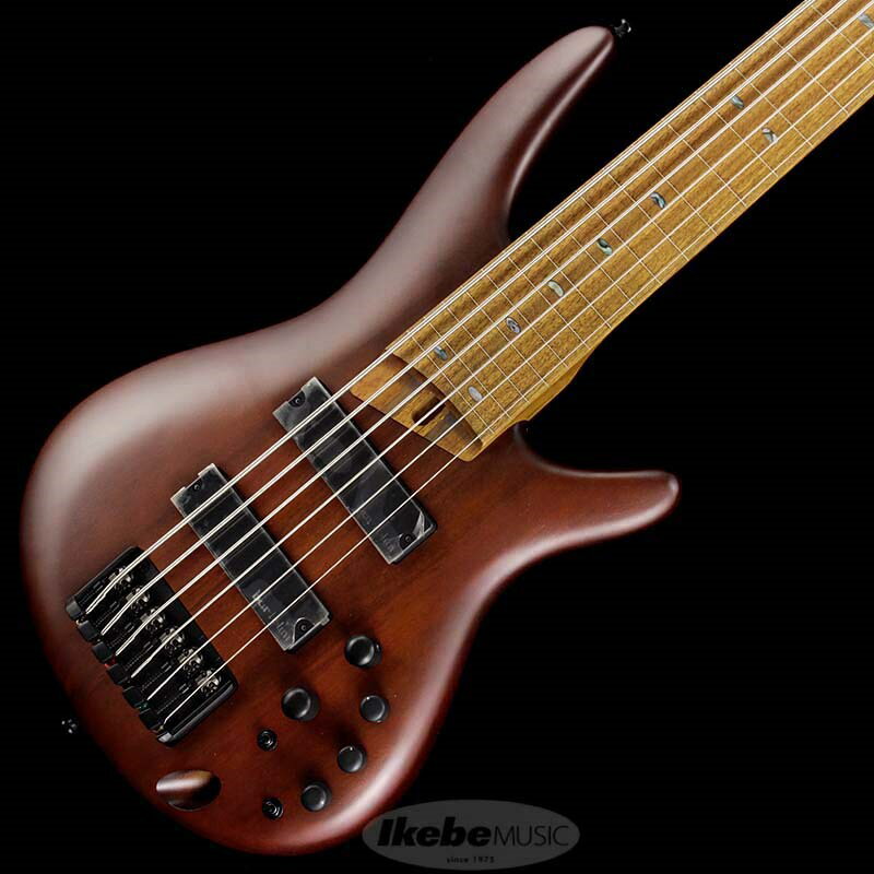 楽天市場】ibanez 5弦 フレットレスの通販 楽天市場】ibanez 5弦 フレットレスの通販