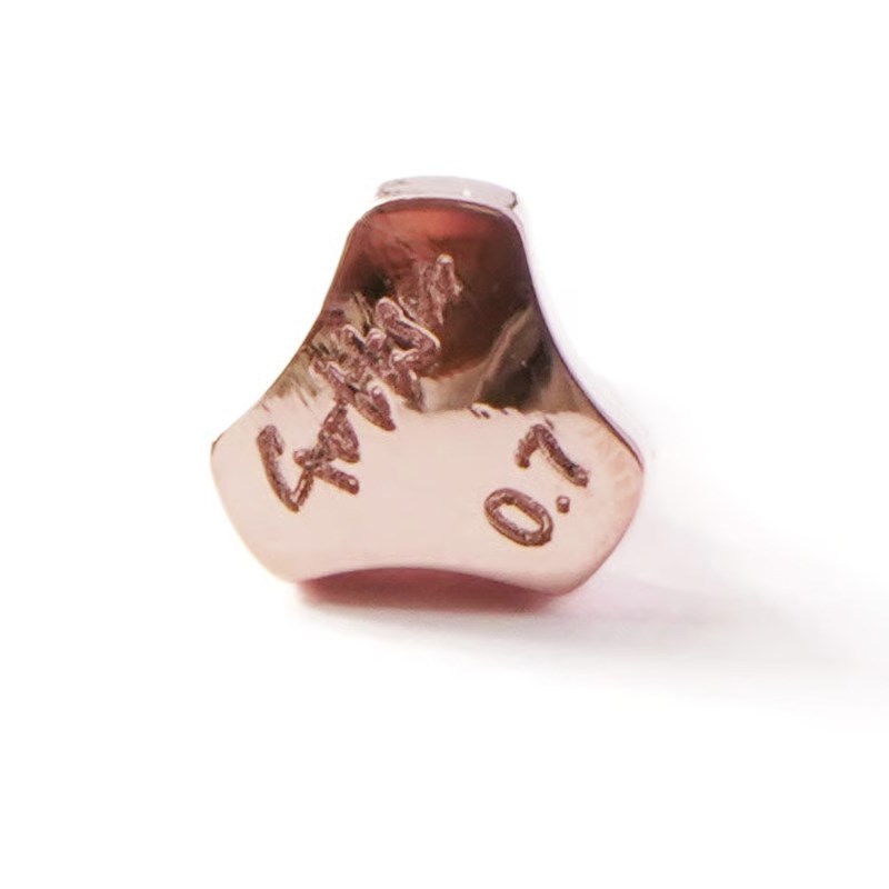 ���å� Copper Sax Neck Screw ����ޡ�����ʥ�������� Gottsu (����)