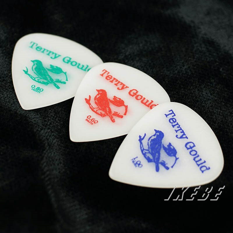 Terry Gould Sand Grip GUITAR PICK (WHITE/ティアドロップ型) [0.60mm] PICK BOY (新品)
