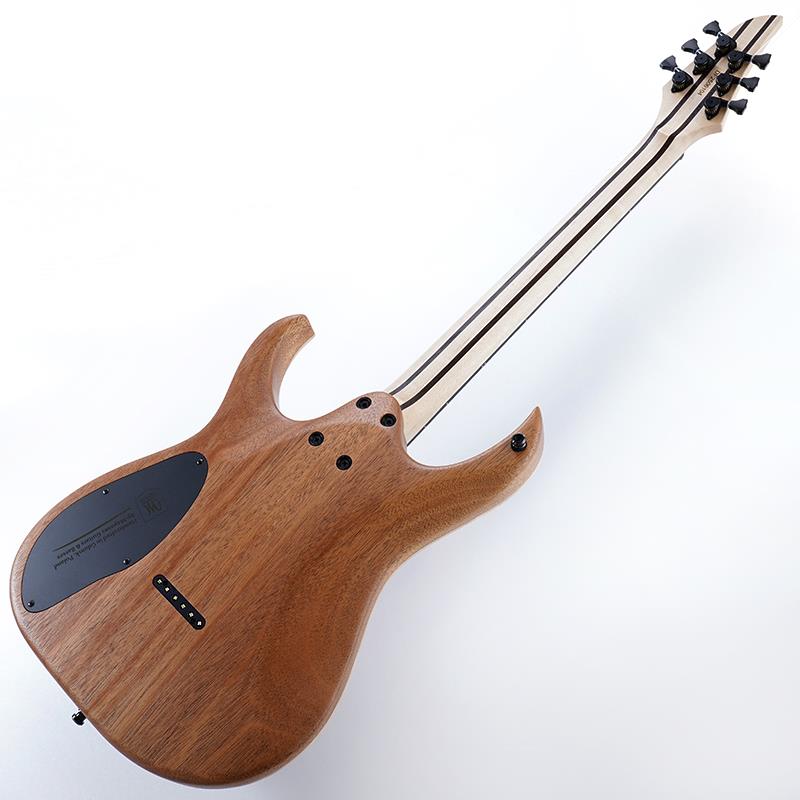 Duvell Elite 6 Maple-Wenge Neck (Purple Iris Gloss) MAYONES (新品)
