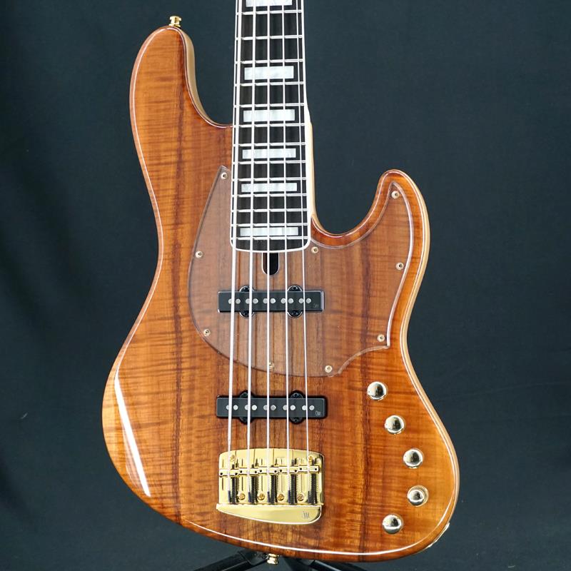 USED ��� Jabba Custom 5 Master Grade Koa Top w/Plexi PG (T-NAT-G) MAYON...
