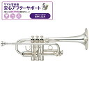 ヤマハ / YTR-6610S 【Eb/D トランペット】【5年保証】【調整後出荷】 YAMAHA (新品)(2)