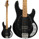 StingRay Special 1H (Black/Maple) 【amPlug 3 Tone Hammerプレゼントキャンペーン】 MUSICMAN (新品...