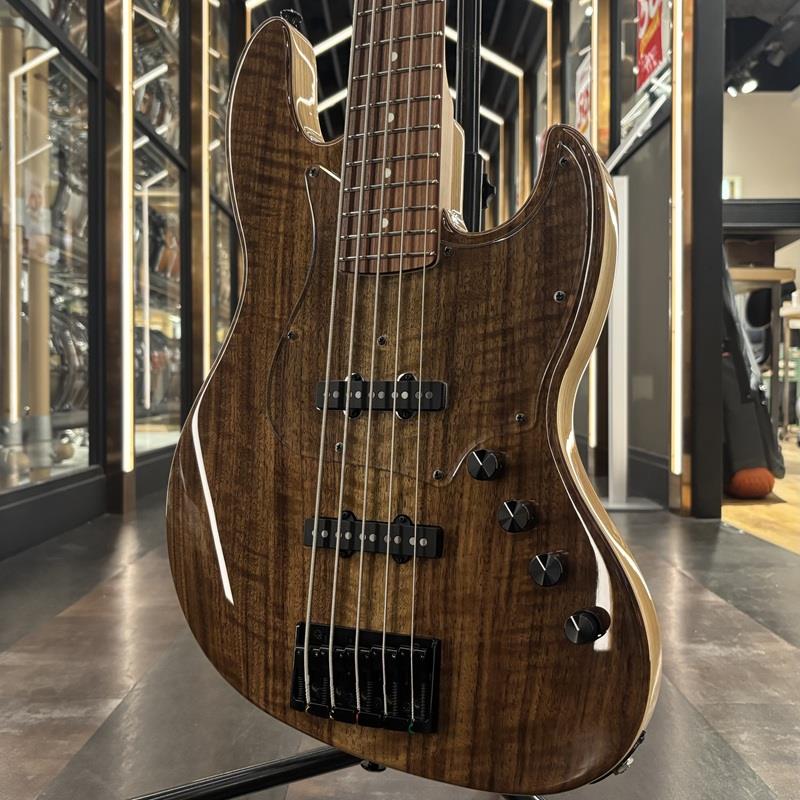 Italian Guitars - Urbanite Series Beta J5 XL SV (Flame Walnut Top) BLACK SMOKER (新品)