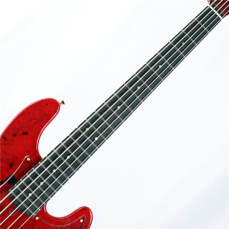 イケベ楽器楽天ショップの【入荷待ち、ご予約受付中】 BB-5-109 PJ Buckeye Burl/Alder (TCR) [徳永暁人/Akihito Tokunaga Custom Model] Phoenix (新品)｜アングル3