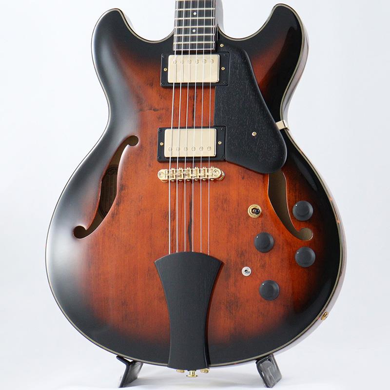 ARTSTAR ASH300-TBC (Tobacco Brown) Ibanez (新品)