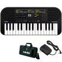 SA-51 イケベオリジナルセットB (SA51) CASIO (新品)