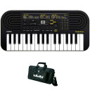 SA-51 イケベオリジナルセットC (SA51) CASIO (新品)