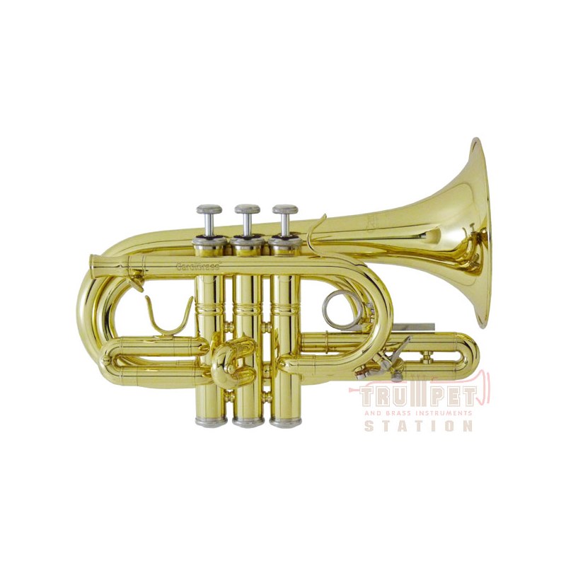 N4000 CL 【C ポケット トランペット】 CAROL BRASS (新品)